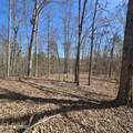 0 Lick Creek Rd - Photo 17