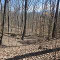 0 Lick Creek Rd - Photo 19