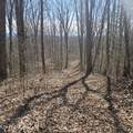 0 Lick Creek Rd - Photo 20