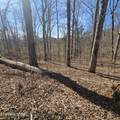 0 Lick Creek Rd - Photo 21