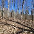 0 Lick Creek Rd - Photo 23