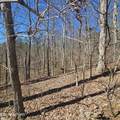 0 Lick Creek Rd - Photo 24