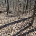 0 Lick Creek Rd - Photo 26