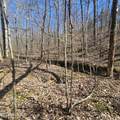 0 Lick Creek Rd - Photo 29