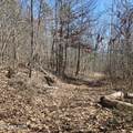 0 Lick Creek Rd - Photo 3