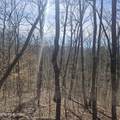 0 Lick Creek Rd - Photo 32