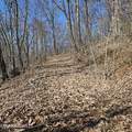 0 Lick Creek Rd - Photo 33