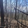 0 Lick Creek Rd - Photo 34