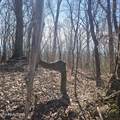 0 Lick Creek Rd - Photo 35