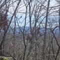 0 Lick Creek Rd - Photo 36