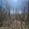 0 Lick Creek Rd - Photo 37