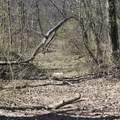 0 Lick Creek Rd - Photo 38