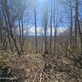 0 Lick Creek Rd - Photo 39