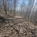 0 Lick Creek Rd - Photo 4