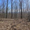 0 Lick Creek Rd - Photo 40