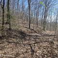 0 Lick Creek Rd - Photo 42