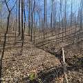 0 Lick Creek Rd - Photo 46