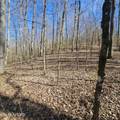 0 Lick Creek Rd - Photo 47