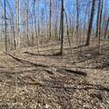 0 Lick Creek Rd - Photo 49