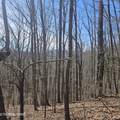 0 Lick Creek Rd - Photo 5