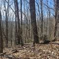 0 Lick Creek Rd - Photo 6