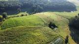 70 acres+- Perrin Hill Rd - Photo 11