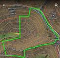 73.87ac Mill Hollow Rd - Photo 18