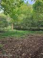 73.87ac Mill Hollow Rd - Photo 19