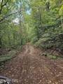 73.87ac Mill Hollow Rd - Photo 20