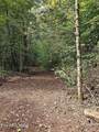73.87ac Mill Hollow Rd - Photo 21