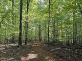 73.87ac Mill Hollow Rd - Photo 26
