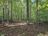 73.87ac Mill Hollow Rd - Photo 28