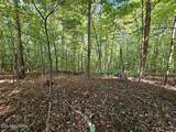 73.87ac Mill Hollow Rd - Photo 29