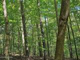 73.87ac Mill Hollow Rd - Photo 30