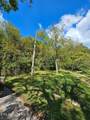 73.87ac Mill Hollow Rd - Photo 34