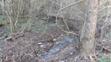 35.68ac Sugar Creek Rd - Photo 35