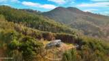 1098 Paint Mountain Rd - Photo 55