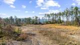  Stinking Creek Rd - Photo 20