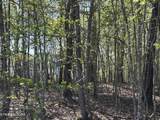  Thief Neck View Drive - Photo 12