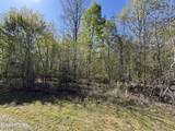  Thief Neck View Drive - Photo 15