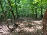  Thief Neck View Drive - Photo 5