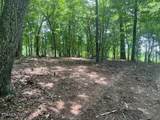  Thief Neck View Drive - Photo 8