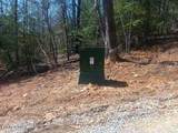 255 & 329 Copperhead Rd - Photo 4