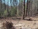 255 & 329 Copperhead Rd - Photo 7
