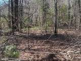 255 & 329 Copperhead Rd - Photo 8