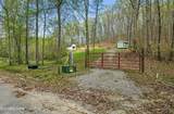 376 County Road 184 - Photo 4