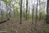 Lot 46, 47 Gray Rock View - Photo 3