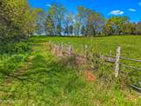 Tract 0 Mt Horeb Rd - Photo 13