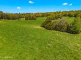 Tract 0 Mt Horeb Rd - Photo 7