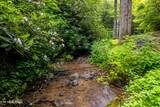  Butler Branch Rd - Photo 1